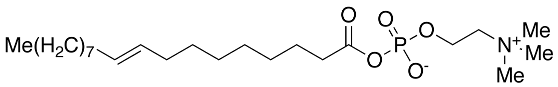 1-Elaidyl Phosphocholine