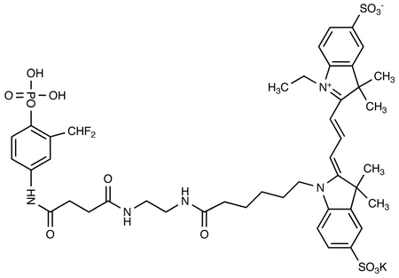 Ethylenediamine N-[(Cyanine 3) Monofunctional Hexanoic Acid]-N’-[3-difluoromethyl-4-phosphoanilinamidosuccinic Acid] Diamide