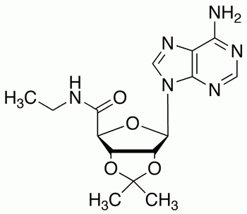 5’-Ethylcarboxamido-2’,3’-isopropylidene Adenosine