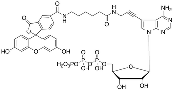 Fluorescein Alkynylamino-ATP