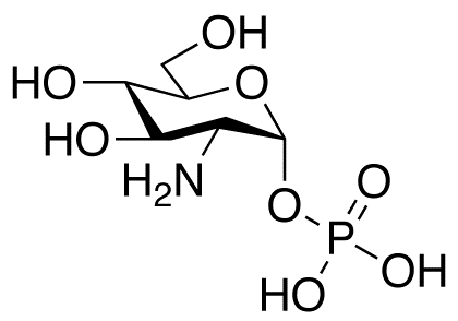 α-D-Glucosamine 1-Phosphate 
