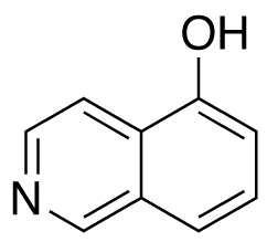 5-Hydroxyisoquinoline