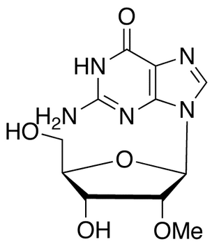 2’-O-Methyl Guanosine