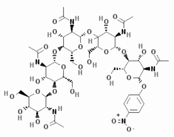 p-Nitrophenyl Penta-N-acetyl-β-chitopentaoside