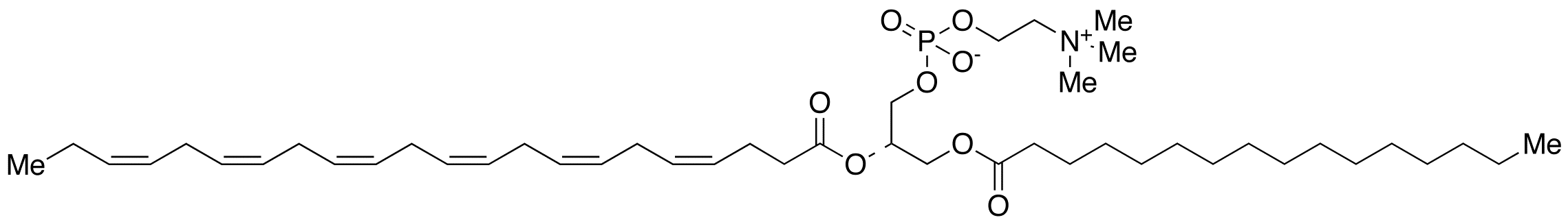 Palmitoyldocosahexaenoyl Phosphatidylcholine