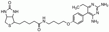 Pyrimethamine Biotin