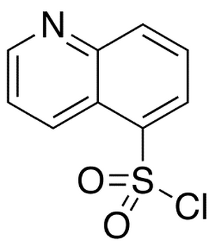 Quinoline-5-sulfonyl Chloride