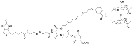 Sulfo-NHS-(PEG4-bismannose)-SS-biotin