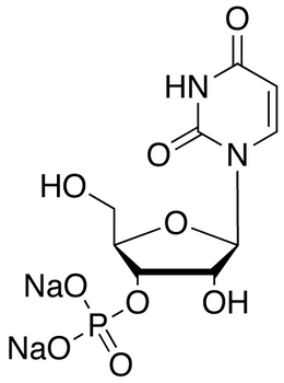 Uridine 3’-Monophosphate Disodium Salt