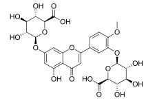 Diosmetin-3’,7-diglucuronide