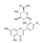 Diosmetin-3-O-glucuronide