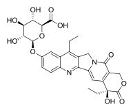 7-Ethyl-10-hydroxycamptothecin glucuronide