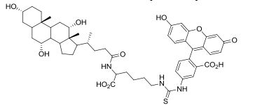 Cholyl-L-lysyl fluorescein
