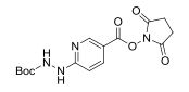 Succinimidyl 6-BOC-hydrazinonicotinate