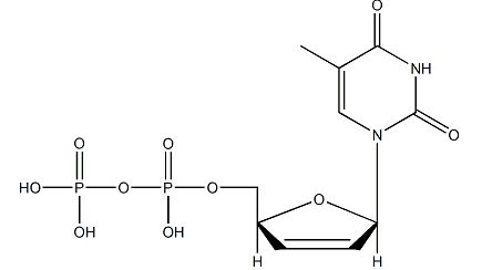 3’-Deoxy 2’,3’-didehydrothymidine-5’-diphosphate
