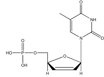 3’-Deoxy 2’,3’-didehydrothymidine-5’-monophosphate