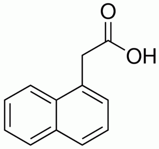 1-Naphthaleneacetic Acid