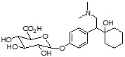 O-Desmethylvenlafaxine β-glucuronide
