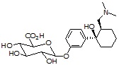 Tramadol M1-glucuronide HCl