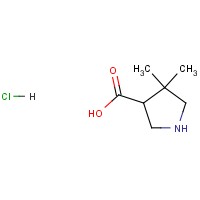4,4-Dimethylpyrrolidine-3-carboxylic acidHCl