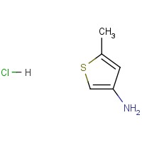 5-Methylthiophen-3-amineHCl