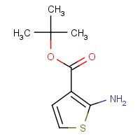 tert-Butyl 2-aminothiophene-3-carboxylate