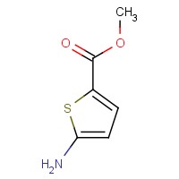 Methyl 5-aminothiophene-2-carboxylate 