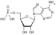 Adenosine 5’’-Monophosphate