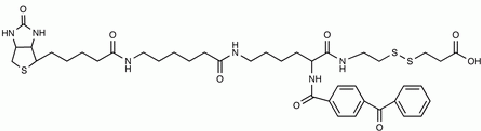 2-[N<sup>2</sup>(Nα-Benzoylbenzoicamido-N<sup>6</sup>-6-biotinamidocaproyl)lysinylamido]ethyl-2-carboxylethyl Disulfide