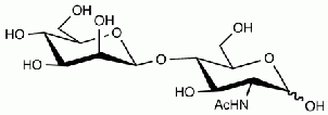 2-Acetamido-2-deoxy-4-O-(b-D-mannopyranosyl)-D-glucose