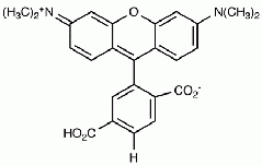 6-Carboxytetramethylrhodamine