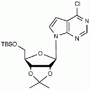 6-Chloro-7-deaza-9-(5’-O-tert-butyldimethylsilyl-2’,3’-O-isopropylidine-D-ribofuranosyl)purine