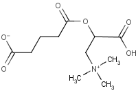 Glutarylcarnitine