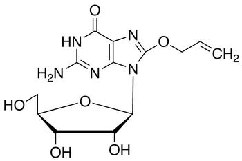 8-(Allyloxy)guanosine