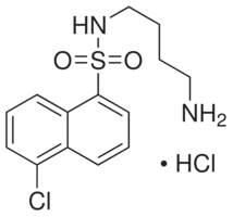N-(4-Aminobutyl)-5-chloro-1-naphthalenesulfonamide HCl