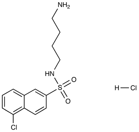 N-(4-Aminobutyl)-5-Chloro-2-Naphthalenesulfonamide HCl