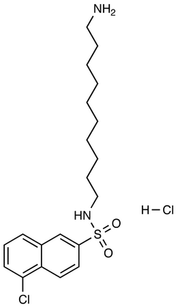 N-(10-Aminodecyl)-5-chloro-1-naphthalenesulfonamide HCl