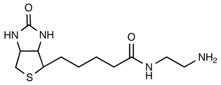 N-(2-Aminoethyl)-biotinamide