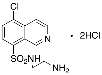 N-(2-Aminoethyl)-5-chloroisoquinoline-8-sulfonamide DiHCl