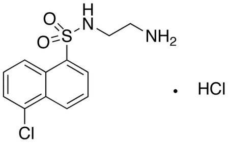 N-(2-Aminoethyl)-5-chloro-1-naphthalenesulfonamide HCl