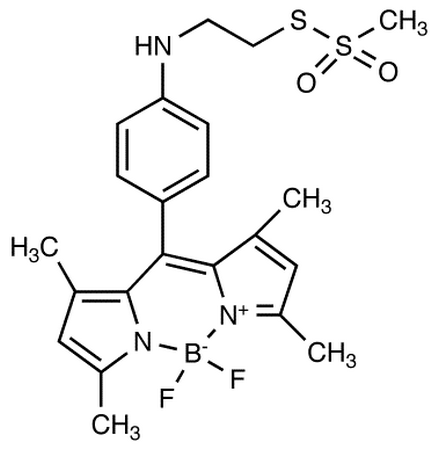 8-[4-(Aminoethyl Methanethiosulfonyl)phenyl] Bodipy