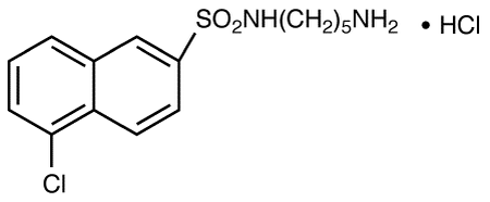 N-(5-Aminopentyl)-5-chloro-2-naphthalenesulfonamide HCl