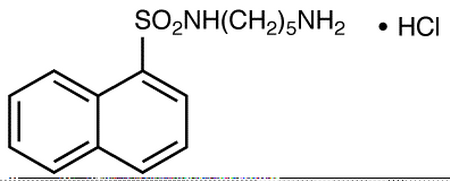 N-(5-Aminopentyl)-1-naphthalenesulfonamide HCl