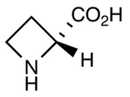 D-Azetidine-2-Carboxylic Acid