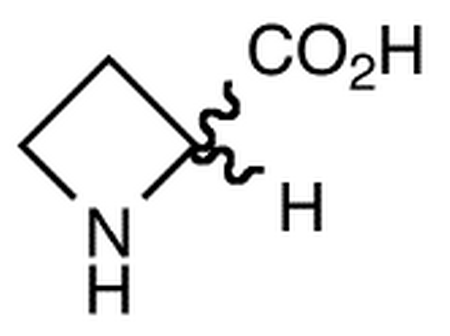 D,L-Azetidine-2-Carboxylic Acid
