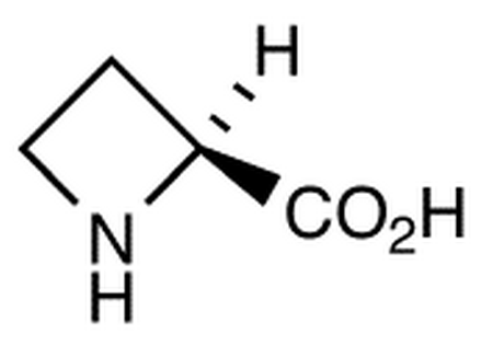 L-Azetidine-2-carboxylic Acid