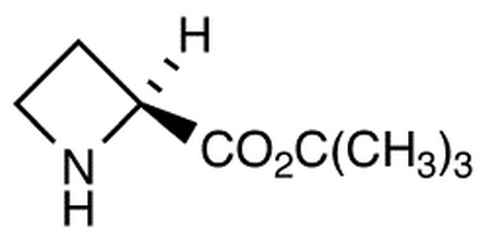 L-Azetidine-2-carboxylic Acid t-Butyl Ester