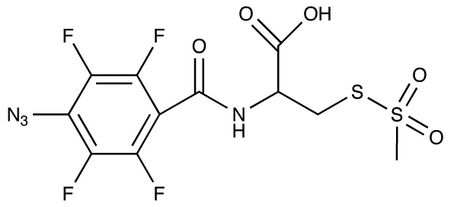 4-Azido-2,3,5,6-tetrafluorobenzamidocysteine Methanethiosulfonate