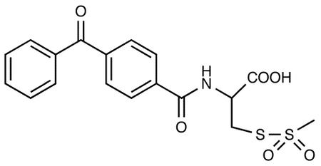 Benzophenone-4-carboxamidocysteine Methanethiosulfonate