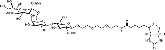 NeuAc-Î±-2,6-LacNAc-PEG3-Biotin